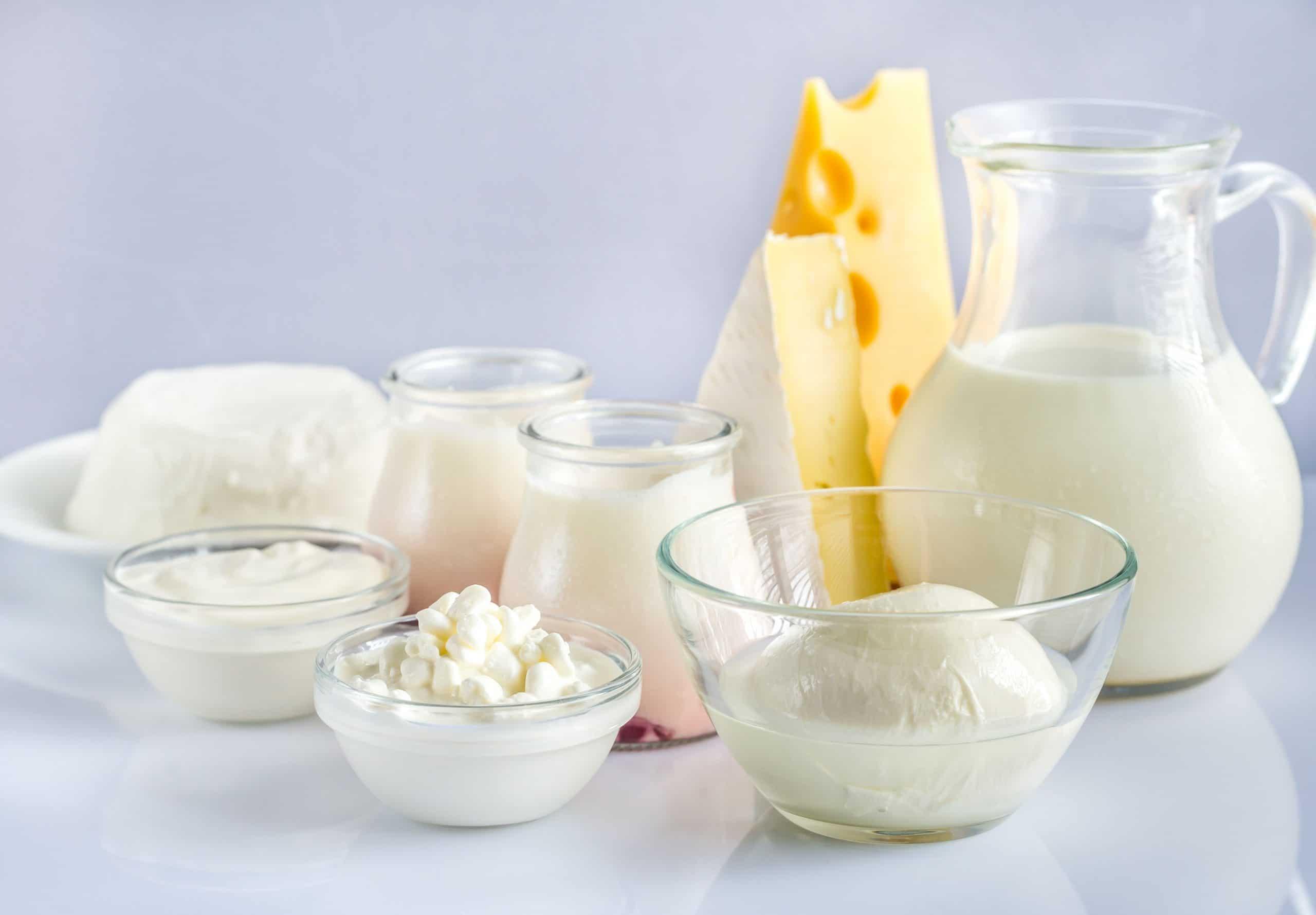 Is dairy good for me?