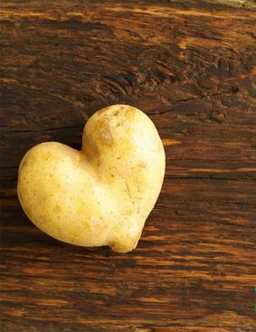 5 reasons carbs rule